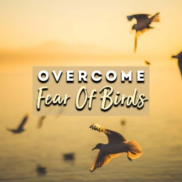Overcome Fear Of Birds Hypnosis