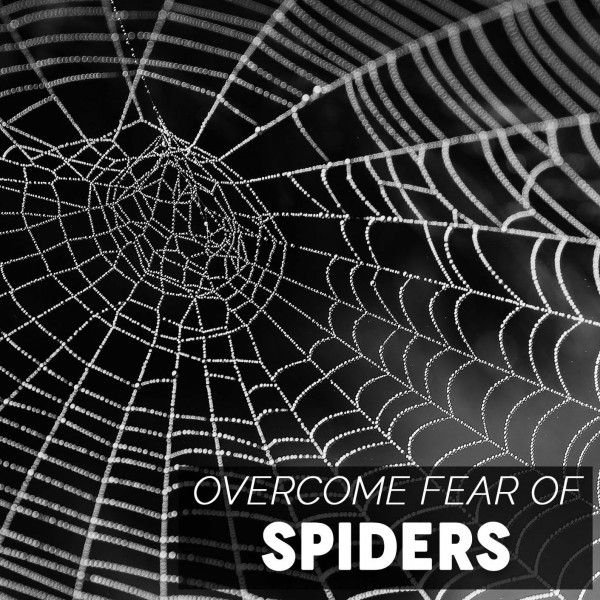 Fear Of Spiders Hypnosis