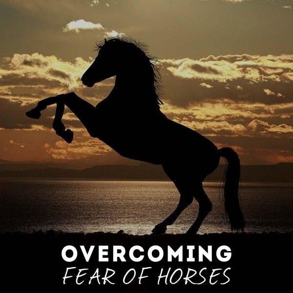 Get Over Fear Of Horses Hypnosis