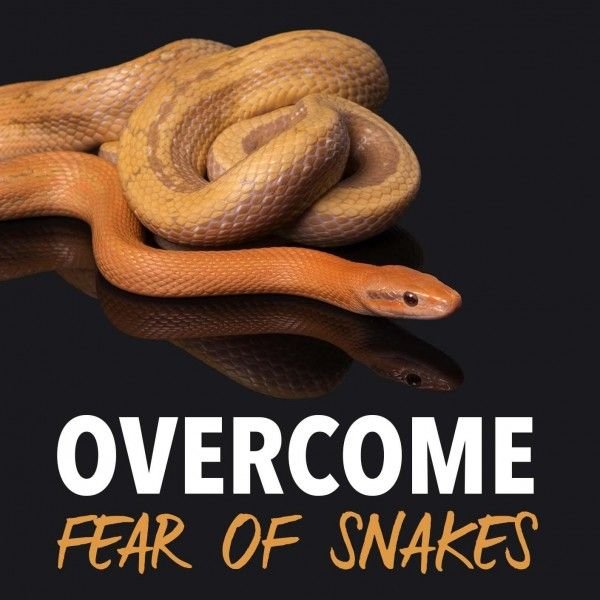 Get Over Fear Of Snakes Hypnosis