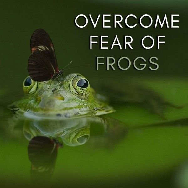 Get Over Fear Of Frogs Hypnosis